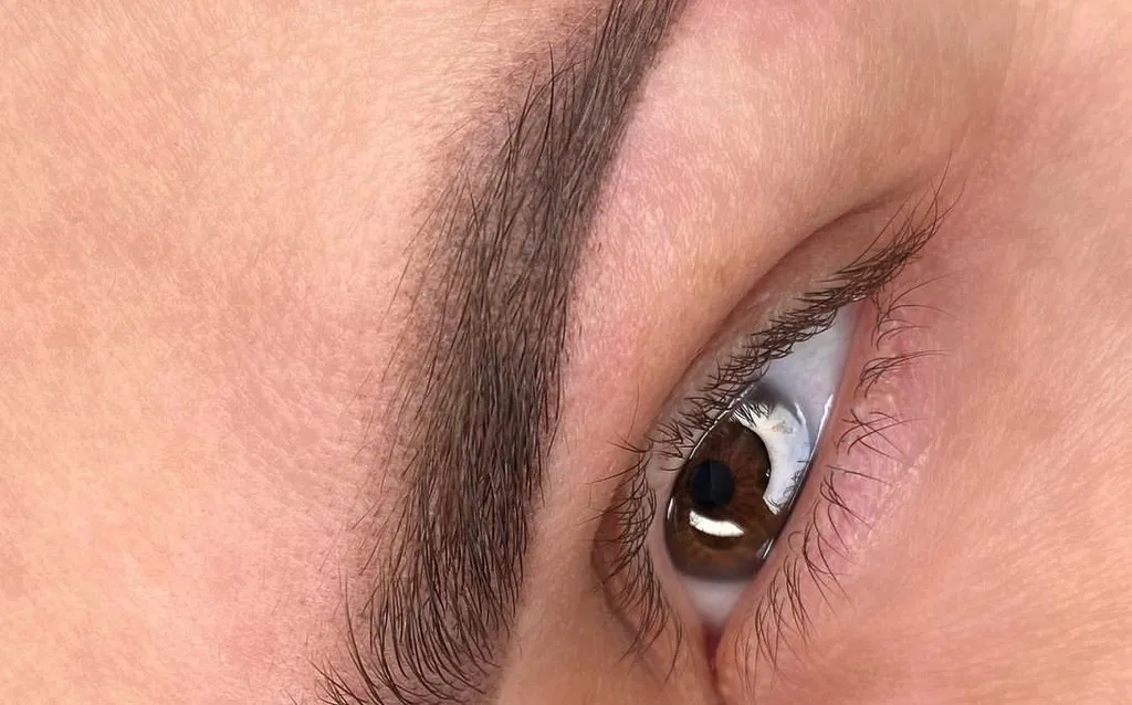 Powder Brows ⟩