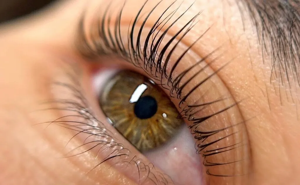 Lash Lifting für mehr Ausdruck ohne Mascara